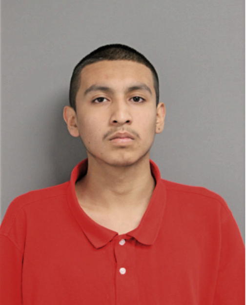 JESUS C GONZALES, Cook County, Illinois