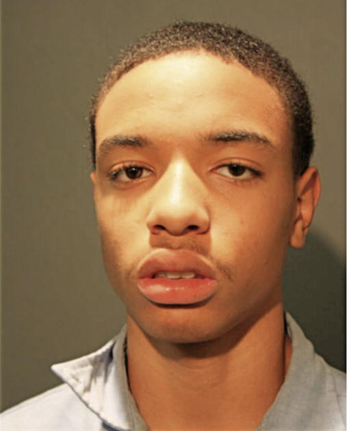 GREGORY L GREEN, Cook County, Illinois