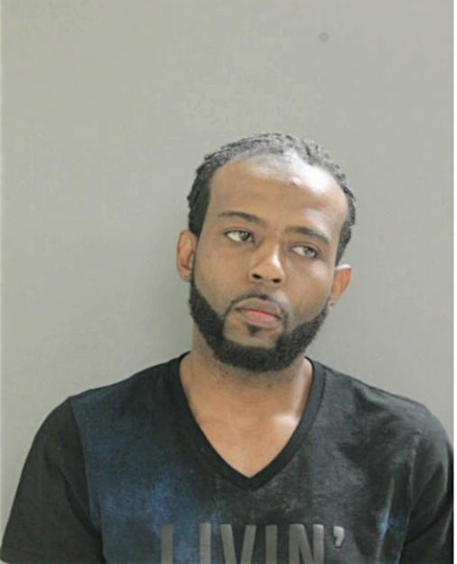 MICHAEL A GREEN, Cook County, Illinois
