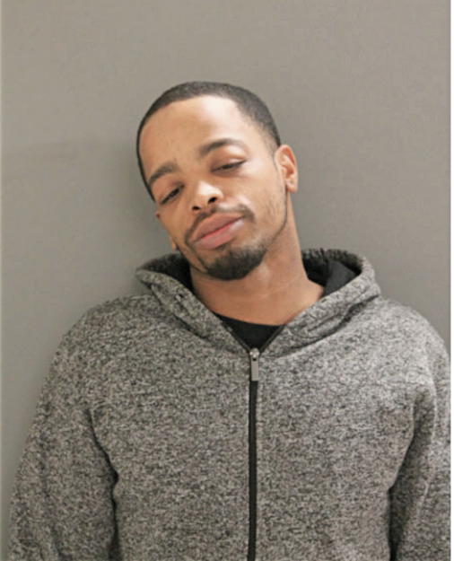 ROBERT L MATTHEW, Cook County, Illinois