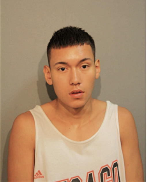 MIGUEL MEZA, Cook County, Illinois