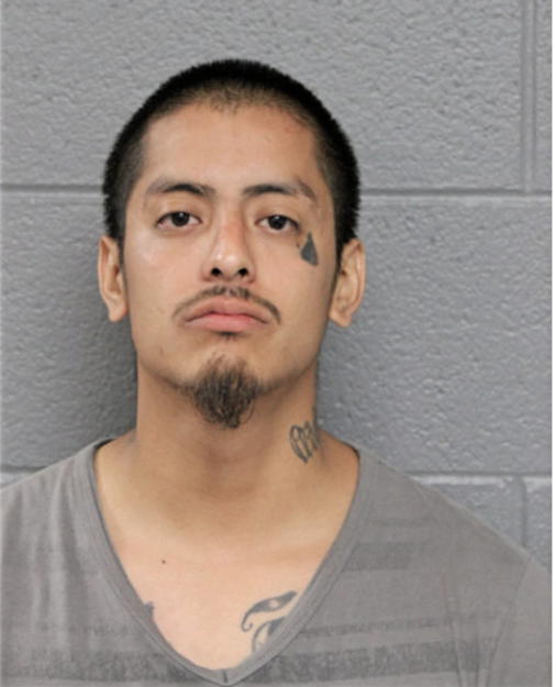 NAIN MONTESINOS, Cook County, Illinois