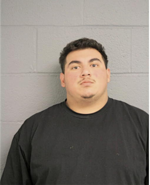 JUAN R MORALES, Cook County, Illinois