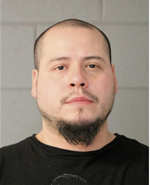 ERIK F MOTA, Cook County, Illinois