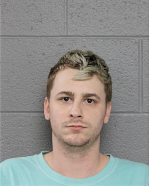 JESSE M PIROFALO, Cook County, Illinois