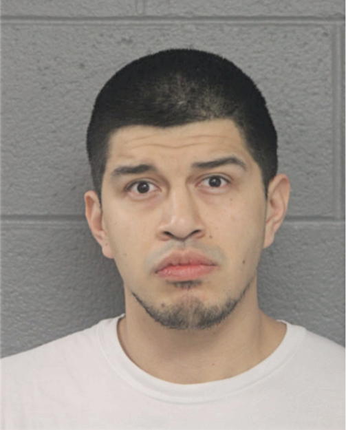 ANDREW C RAMIREZ, Cook County, Illinois