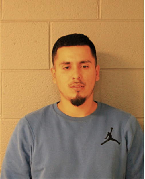SERGIO C SAUCEDO, Cook County, Illinois