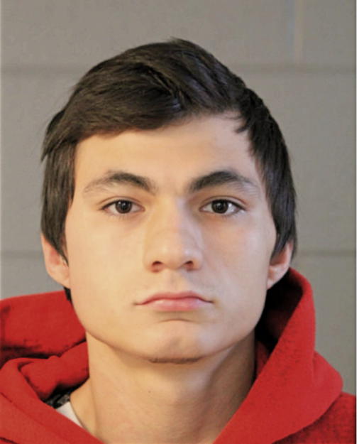 GAGE W SYBERT-MANNING, Cook County, Illinois