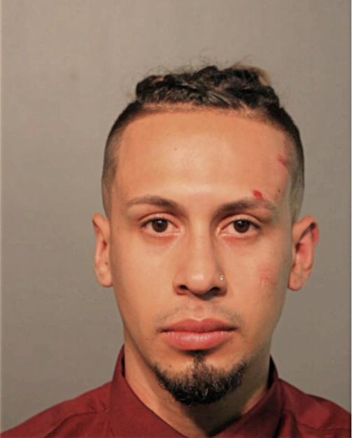 MARIO A VILLEGAS, Cook County, Illinois