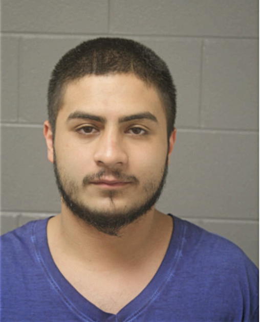 ERNESTO ZEPEDA, Cook County, Illinois