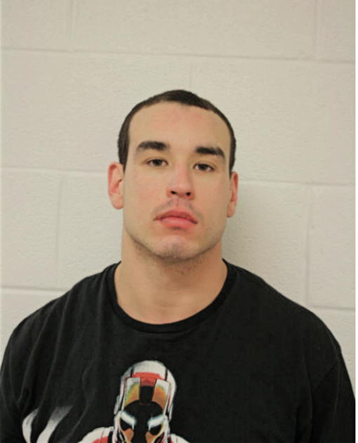 RAFAEL M ALEMAN, Cook County, Illinois