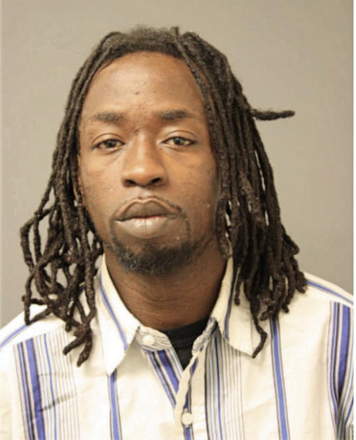DION D ANDERSON, Cook County, Illinois