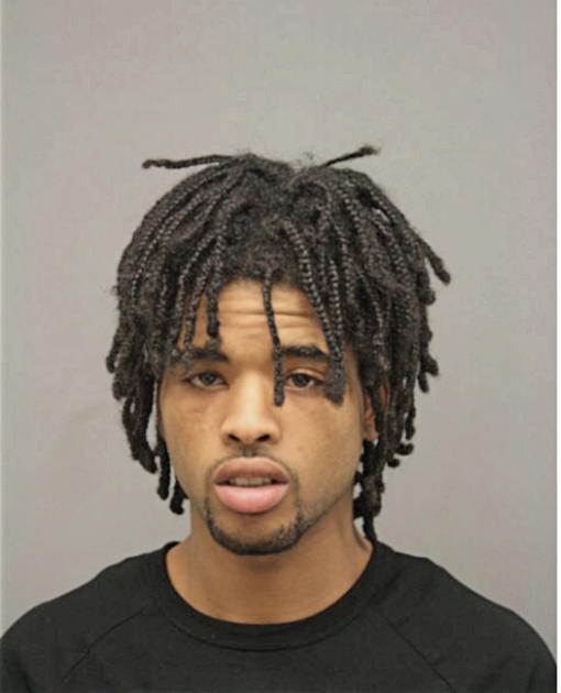 DAJARI M BREWER, Cook County, Illinois