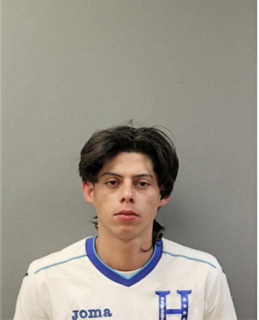 ALVARO ALCIDES CASTELLANOS-PINEDA, Cook County, Illinois