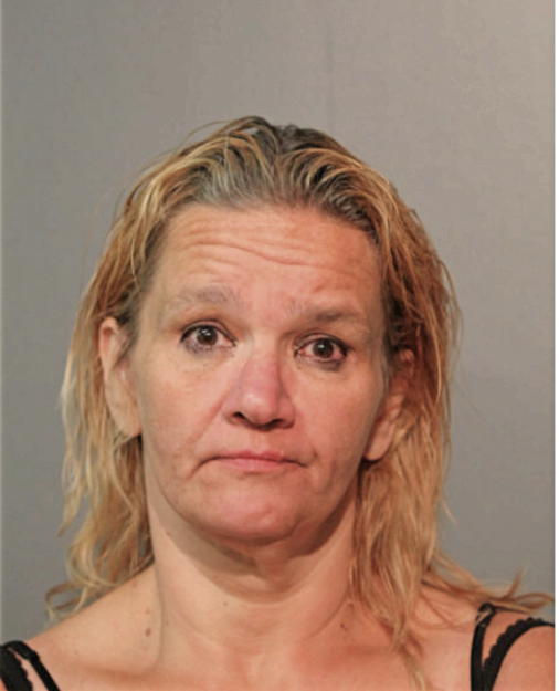 MARY A CHIQUET, Cook County, Illinois