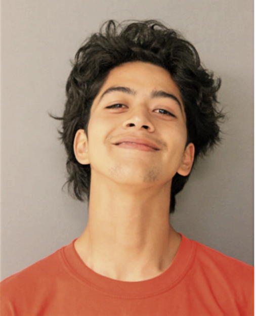 EDWARDO ECHEVARRIA, Cook County, Illinois