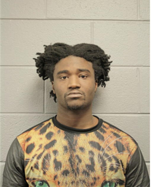 JEREMY J FITZGERALD, Cook County, Illinois