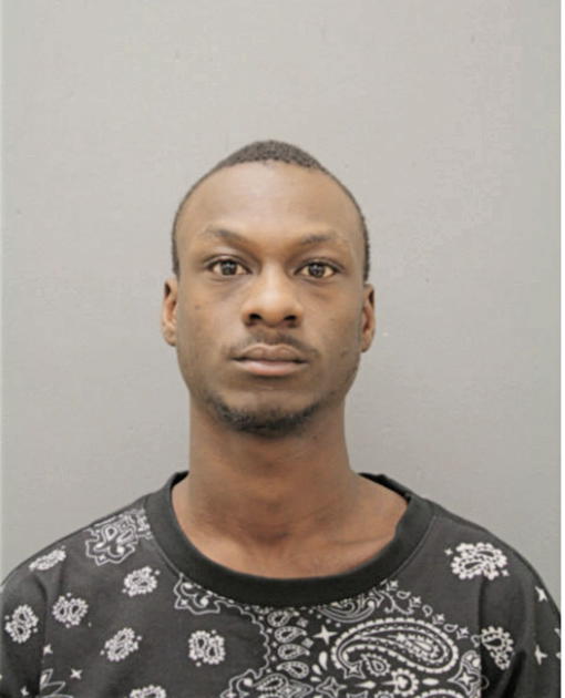 ROMERO GREEN, Cook County, Illinois