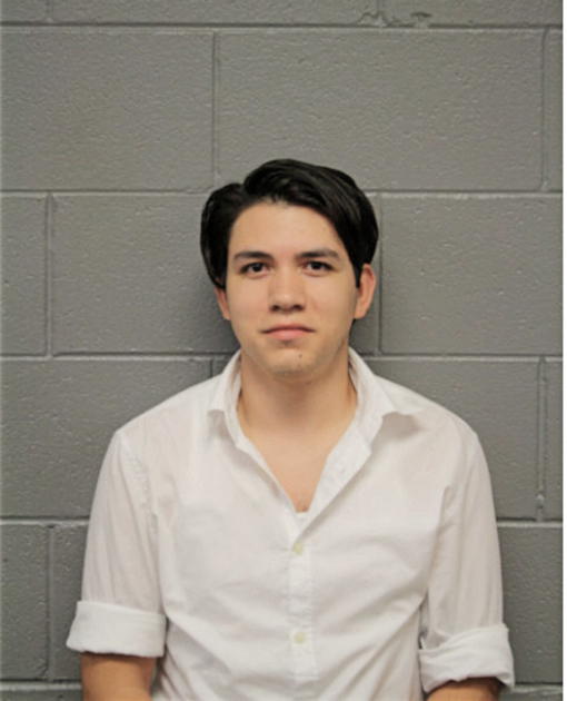 SETH L HAIRSTON, Cook County, Illinois