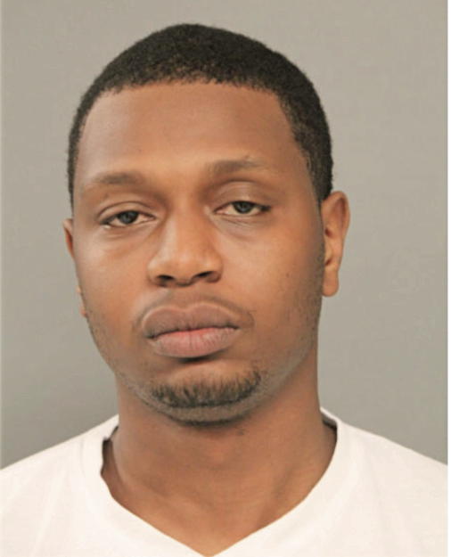 CHRISTOPHER A HAMILTON, Cook County, Illinois