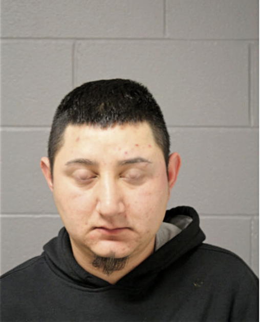 FERNANDO HERNANDEZ-ZAVALA, Cook County, Illinois