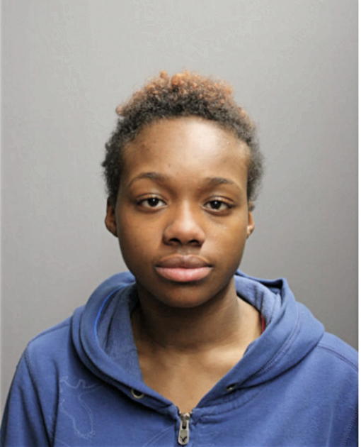 TIERRA S JOHNSON, Cook County, Illinois
