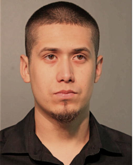 SALVADOR ALVARADO JR., Cook County, Illinois