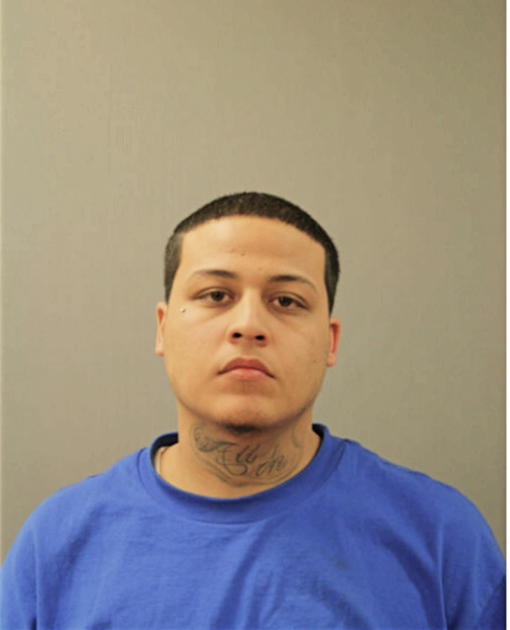 DAVID A MARTINEZ, Cook County, Illinois