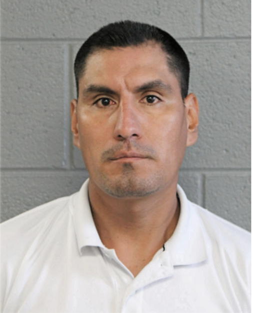 GABRIEL H MARTINEZ, Cook County, Illinois