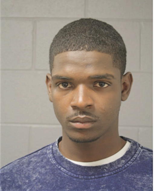 ALLEN S MICKLE, Cook County, Illinois