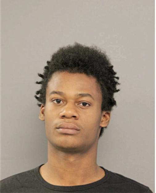 MICHAEL L MILLER, Cook County, Illinois