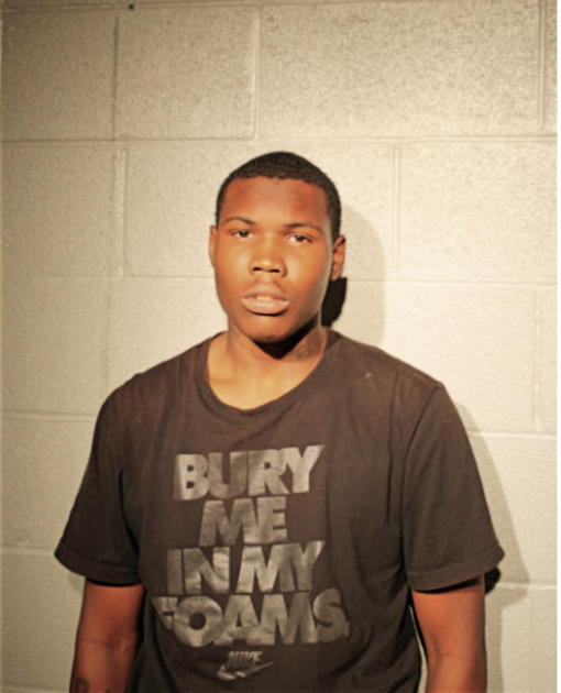AARON M MITCHELL, Cook County, Illinois