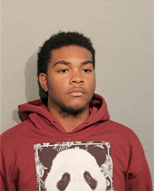 WILLIAM D PERKINS, Cook County, Illinois