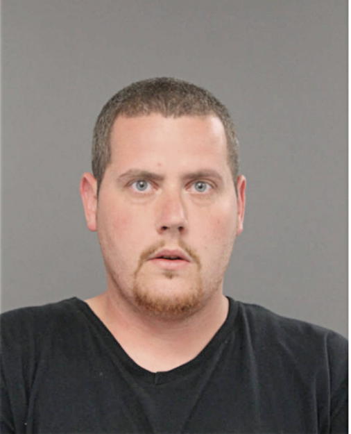 MICHAEL N PETERSEN, Cook County, Illinois