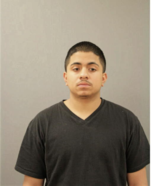 JULIAN RAMSAROOP, Cook County, Illinois
