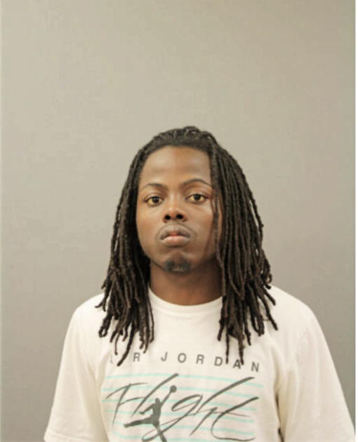 MICHAEL M REED, Cook County, Illinois