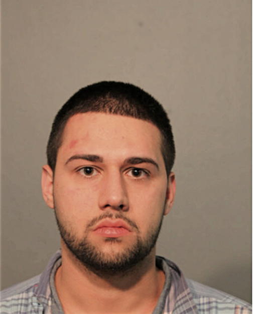 ANTHONY K REIS, Cook County, Illinois