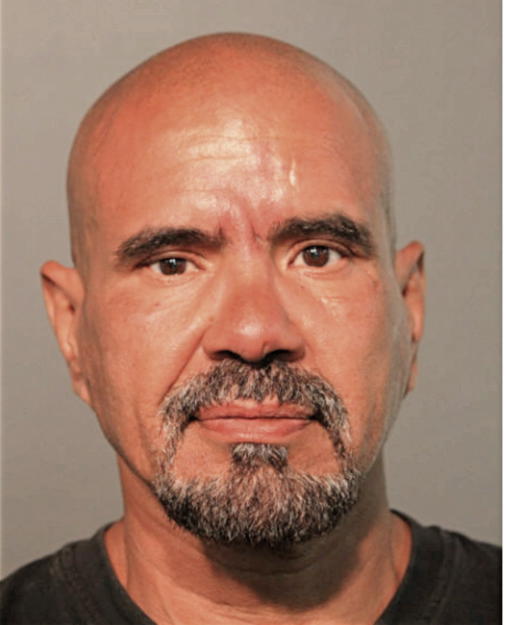 ALBERTO P SANCHEZ, Cook County, Illinois