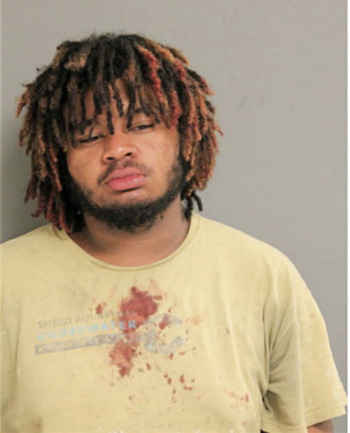 SEAN D SEYMOUR-ADAMS, Cook County, Illinois