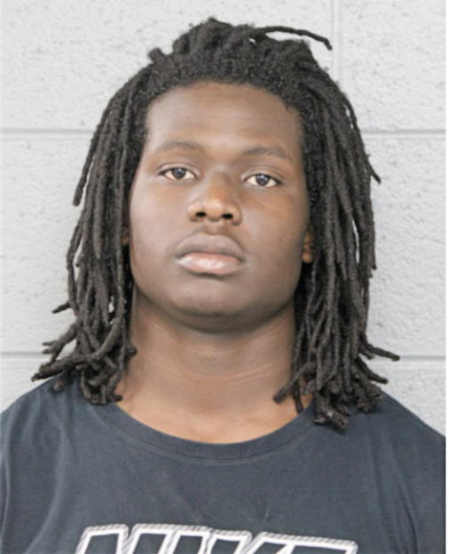 DARRELL J SIMS, Cook County, Illinois