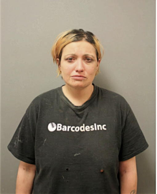 LIZBETH D STEPHAN, Cook County, Illinois