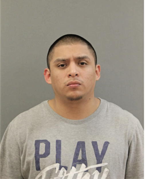EFRAIN TORRES, Cook County, Illinois