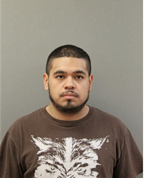 JOSE A TORRES, Cook County, Illinois