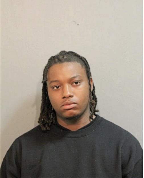 ANDRE L WILLIAMS, Cook County, Illinois