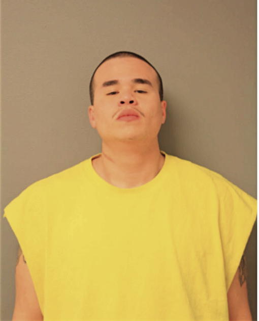 DAVID AROCHO, Cook County, Illinois