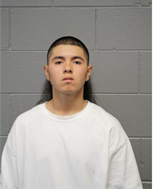 PAUL BELLO, Cook County, Illinois