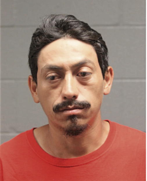 FELIPE BERRUM-REYNOSO, Cook County, Illinois