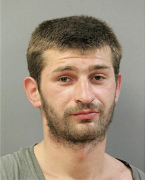 ARTUR BOROWIEC, Cook County, Illinois