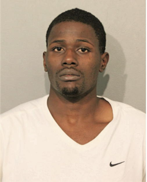 RAY A CHISM, Cook County, Illinois