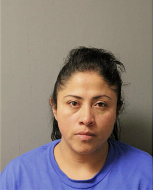 BRENDA L DAVILA, Cook County, Illinois